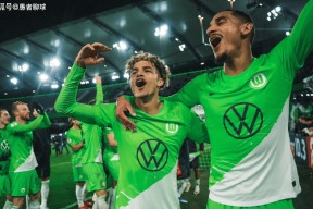华体会app-拜仁慕尼黑主场小胜沃尔夫斯堡，德甲竞争激烈的简单介绍