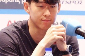 华体会登陆-本菲卡绝杀国米，孙兴慜扑点救主欧联杯的简单介绍