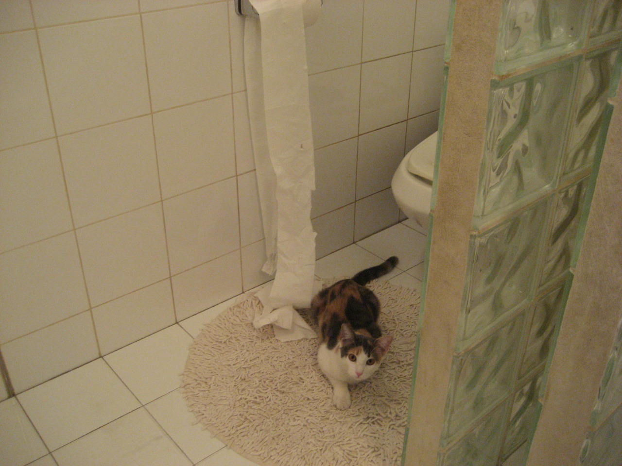 华体会登录-在北美大陆的镁光灯下，拉梅洛·鲍尔的压力之花如何于世界杯之夜绽放  第2张